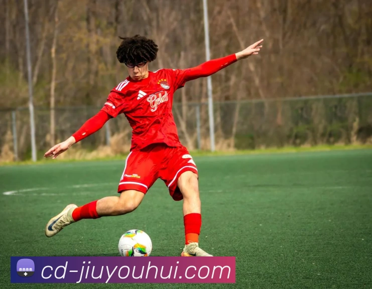 九游会J9官网平台生态图